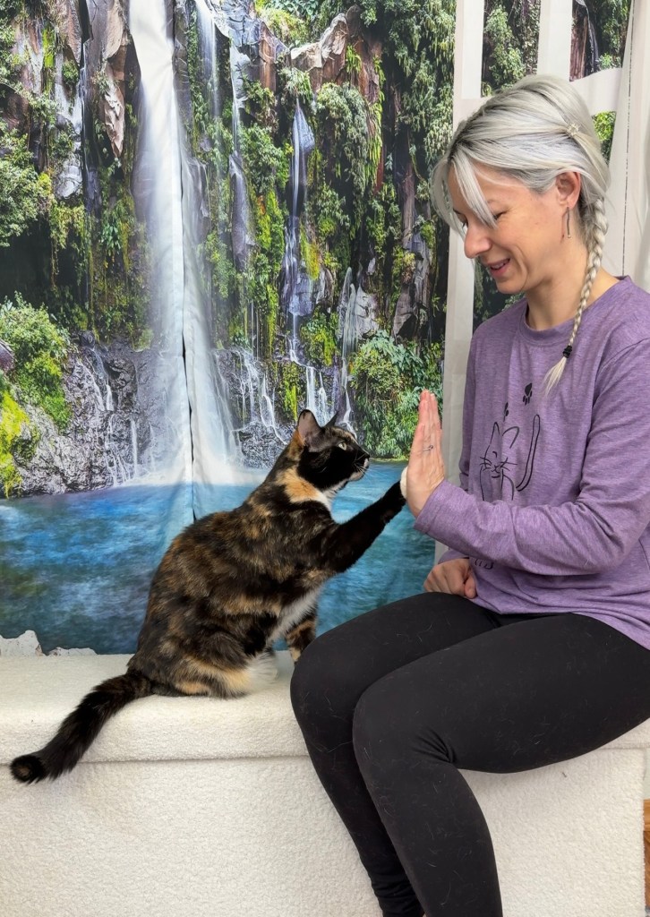 A woman with light hair and a purple sweater is playfully reaching out her hand to a calico cat. The background features a scenic waterfall surrounded by greenery.