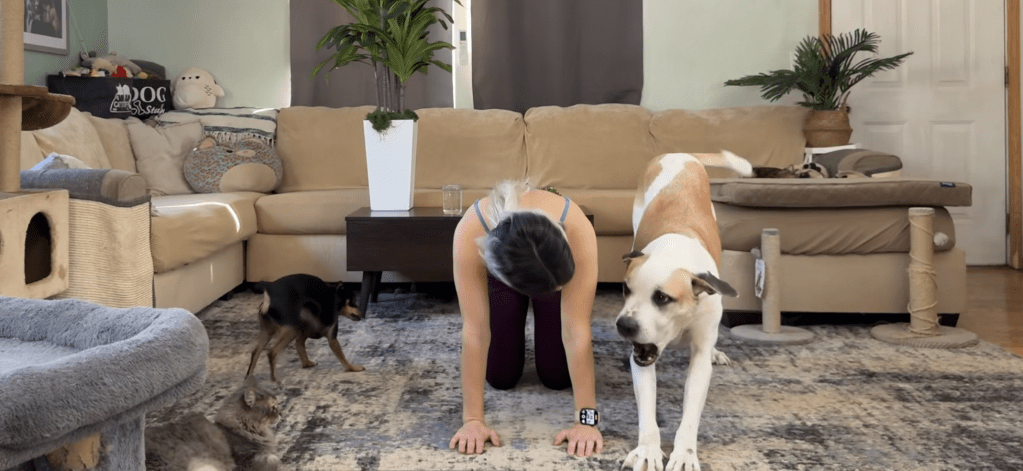 A woman in workout attire is on her hands and knees on a rug in a living room, while a large dog stands nearby and a small dog and cat are also present in the scene. The room features a couch, plants, and pet furniture.