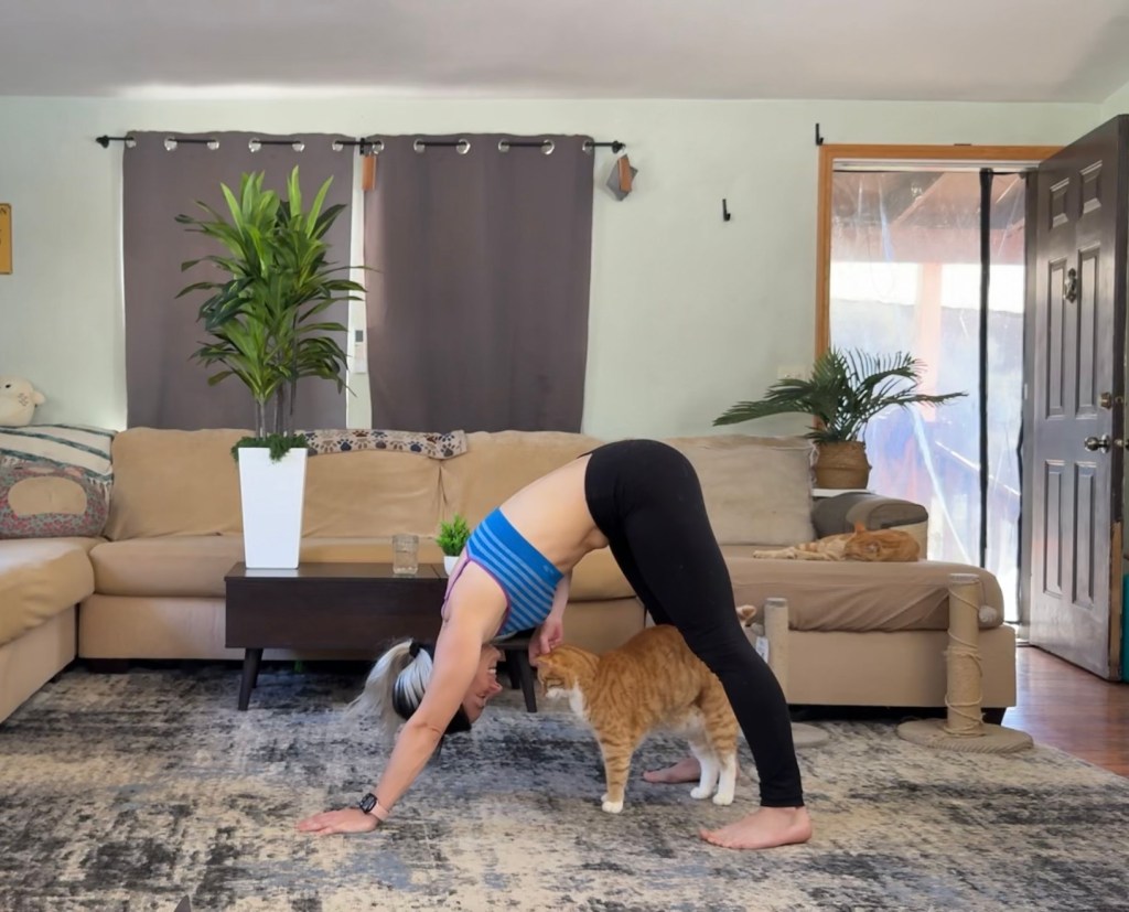 Home Workouts for Busy Pet Parents: Fitness, Fur, and Fun When Your Pets Run the&nbsp;House