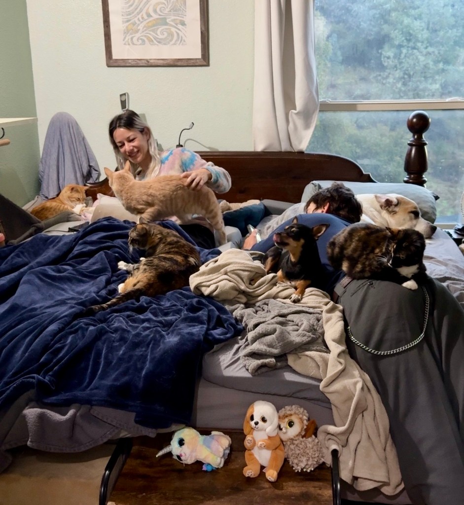 A woman sitting on a bed surrounded by several cats and a dog, with blankets and stuffed animals scattered around.